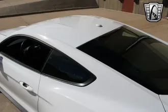 Mustang 12
