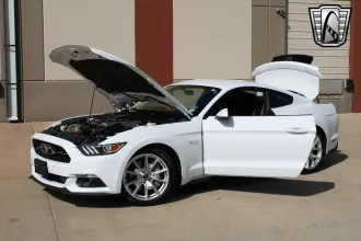 Mustang 13