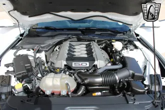 Mustang 16