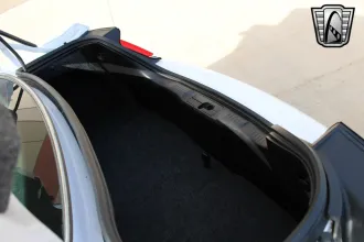 Mustang 19