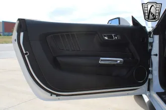 Mustang 20