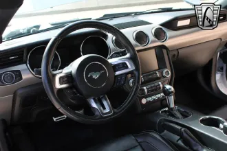 Mustang 22