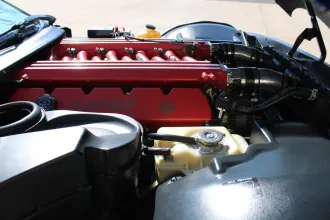 Viper 19