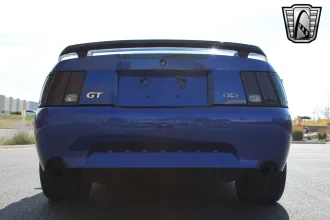 Mustang 5
