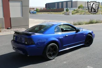 Mustang 6