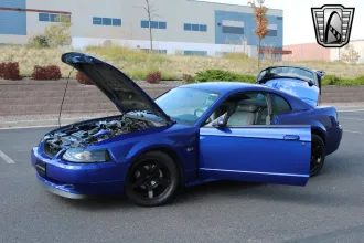 Mustang 13