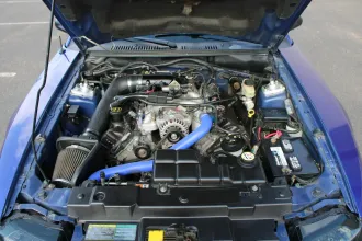 Mustang 16