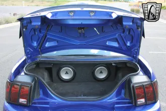Mustang 18
