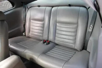 Mustang 23