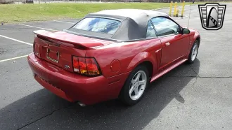 Mustang 5