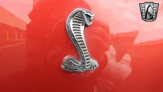 Mustang 13