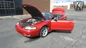 Mustang 14
