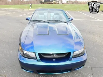 Mustang 4