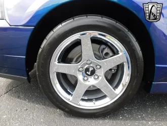 Mustang 5