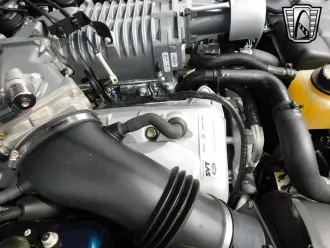 Mustang 15