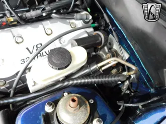 Mustang 17