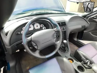 Mustang 19