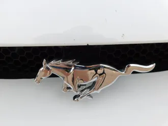 Mustang 12