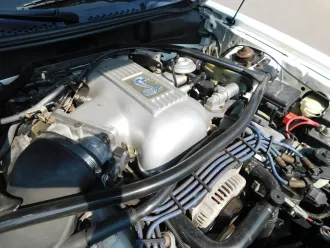 Mustang 16
