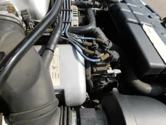 Mustang 18