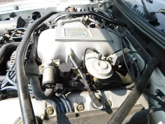 Mustang 21