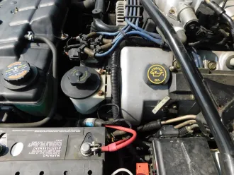 Mustang 22