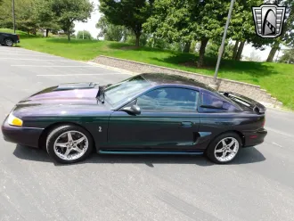 Mustang 3