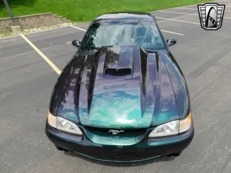Mustang 4