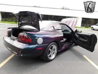 Mustang 16