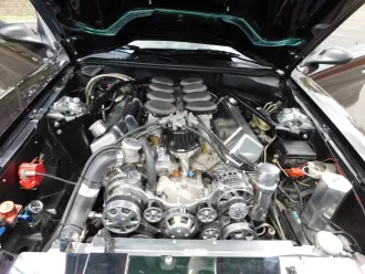 Mustang 17