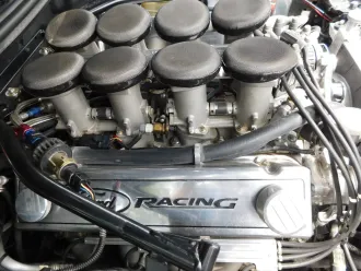 Mustang 18