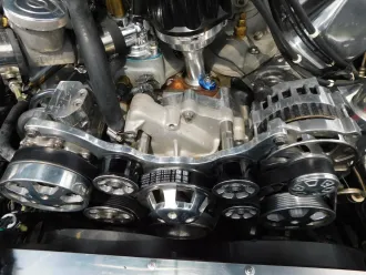 Mustang 20