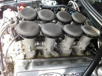 Mustang 23