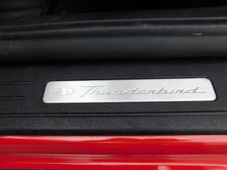 Thunderbird 22