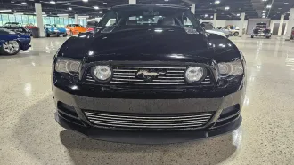 Mustang 6