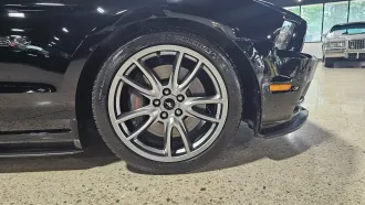 Mustang 7