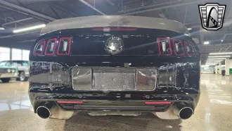 Mustang 14