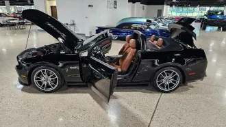 Mustang 16