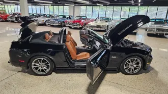 Mustang 18