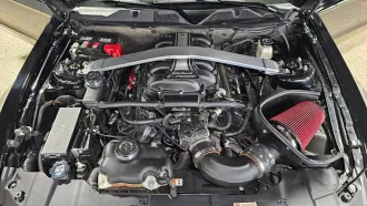 Mustang 19