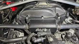Mustang 20