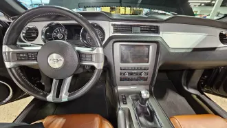 Mustang 22
