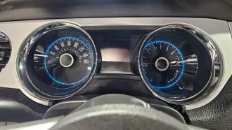 Mustang 23