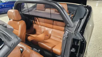 Mustang 25