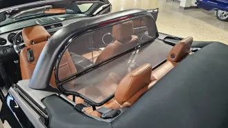 Mustang 26