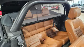 Mustang 27