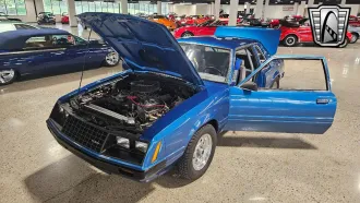Mustang 21