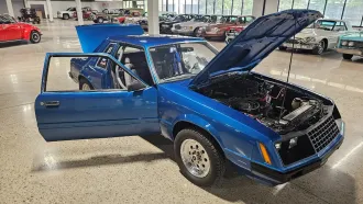 Mustang 24