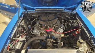 Mustang 25