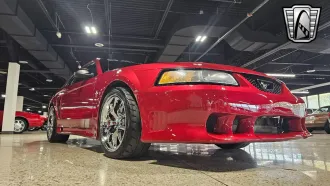 Mustang 5